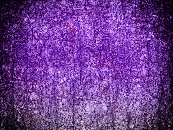 mor taş dokusu, yakın görünüm