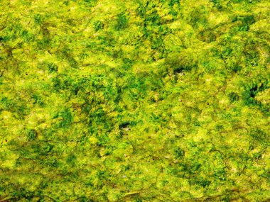 Green Stones dokusu, soyut arkaplan