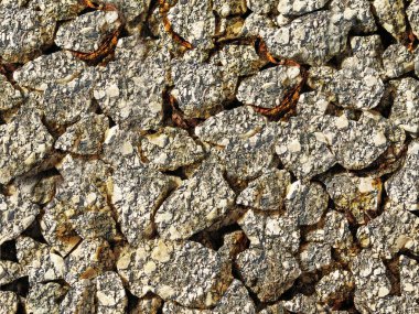 Arka plan için Bahçedeki Taş Doku 