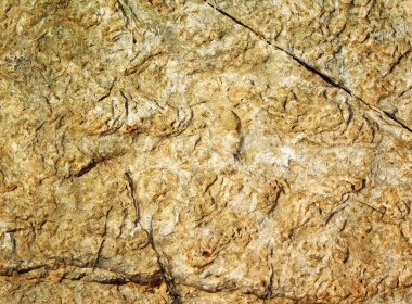 Eski taş duvarın çatlak dokusu