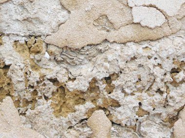 Bahçede taş dokusu, yakın görüş.