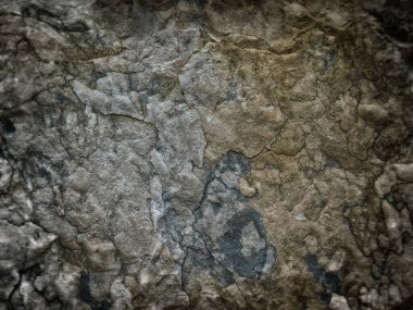 Arka plan için Bahçedeki Taş Doku    