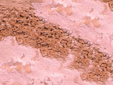 Arka plan için Bahçedeki Taş Doku    