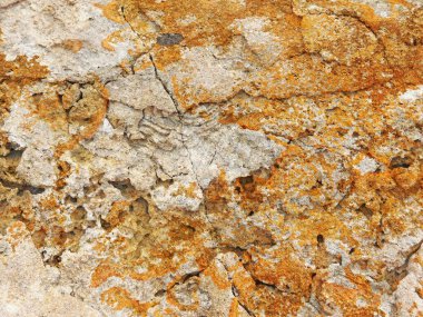 Arkaplan için taş dokusunun yakın plan görüntüsü