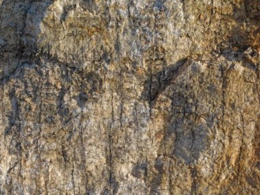 Bahçede taş dokusu, yakın görüş.