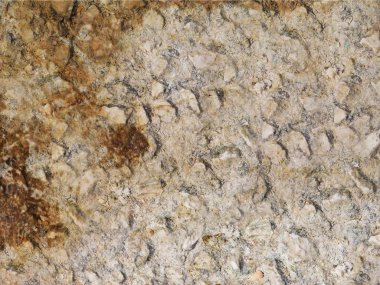 Eski taş duvarın çatlak dokusu