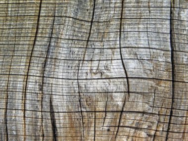 Arka plan için bahçedeki ahşap dokular