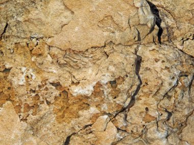 Arkaplan için taş dokusunun yakın plan görüntüsü