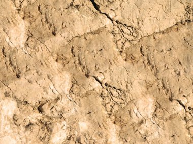 Arkaplan için taş dokusunun yakın plan görüntüsü