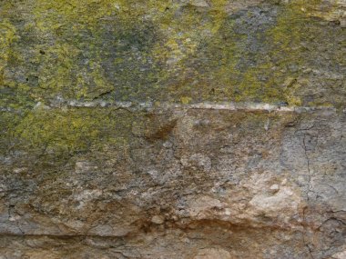 Bahçedeki mermer dokular 