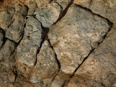 Bahçedeki mermer dokular