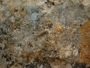 Bahçedeki mermer dokular