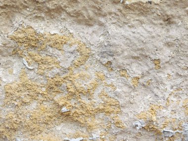 Bahçede taş dokusu, yakın görüş.