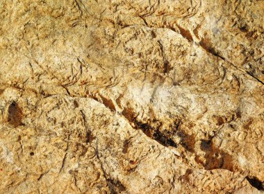 Eski taş duvarın çatlak dokusu