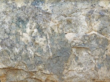 Bahçedeki mermer dokular