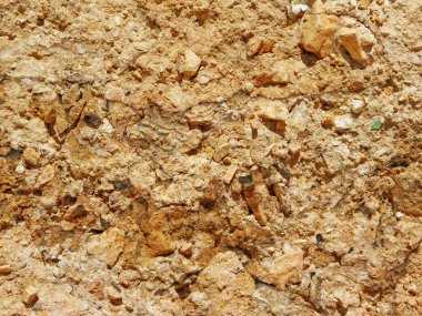 Bahçede taş dokusu, yakın görüş.