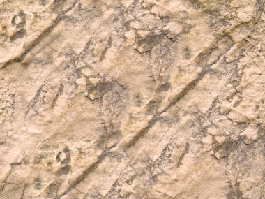 Arka plan için Bahçedeki Taş Doku    