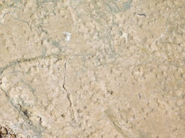 Arka plan için Bahçedeki Taş Doku    