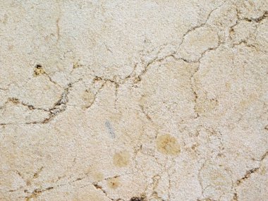 Bahçedeki mermer dokular