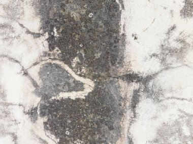 Arkaplan için taş dokusunun yakın plan görüntüsü