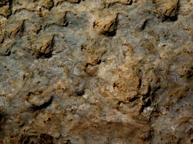 Bahçedeki mermer dokular