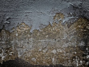 Bahçedeki Koyu Taş Kalıbı