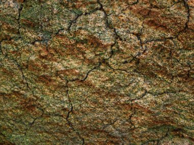 Taş dokusu bahçede