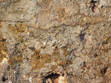 Bahçede taş dokusu, yakın görüş.