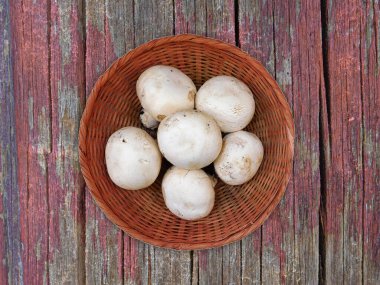 Ahşap arka planda kasede mantarlar