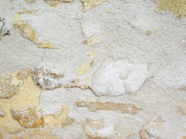 Bahçede taş dokusu, yakın görüş.