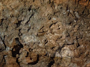 Bahçedeki mermer dokular