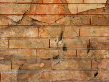 Taş dokusu bahçede