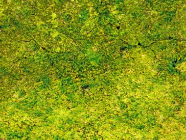 Green Stones dokusu, soyut arkaplan