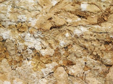 Bahçede açık havada Taş dokusu