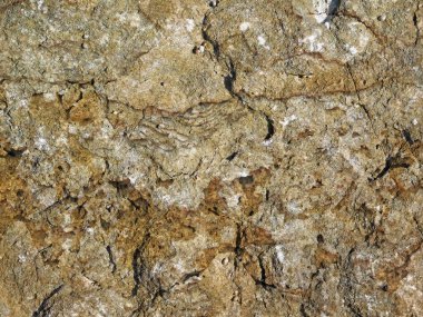 Arkaplan için taş dokusunun yakın plan görüntüsü