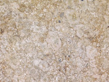 Bahçedeki mermer dokular 