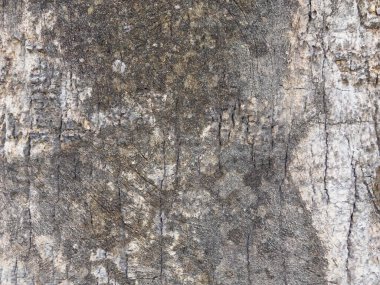 Arkaplan için taş dokusunun yakın plan görüntüsü