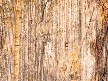 arkaplan için eski ahşap dokusu