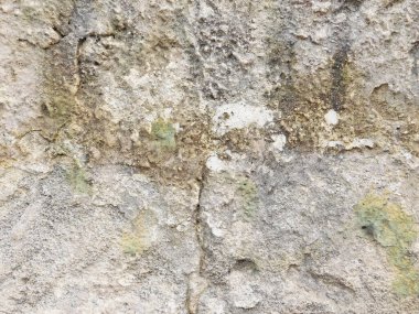 Bahçede açık havada Taş dokusu