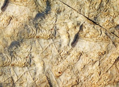 Taş dokusu arkaplanı kapat