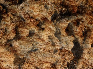 Taş dokusu bahçede