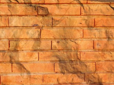 Taş dokusu bahçede