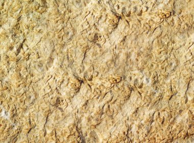 Eski taş duvarın çatlak dokusu