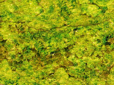 Green Stones dokusu, soyut arkaplan