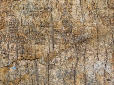 Bahçede açık havada Taş dokusu