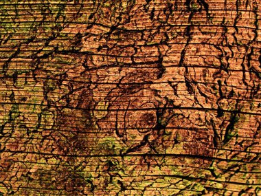 Koyu kahverengi ahşap doku arka planı için