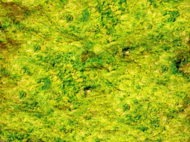 Green Stones dokusu, soyut arkaplan