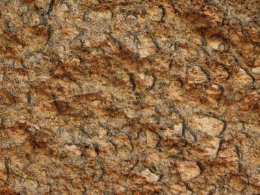 Arka plan için Bahçedeki Taş Doku    