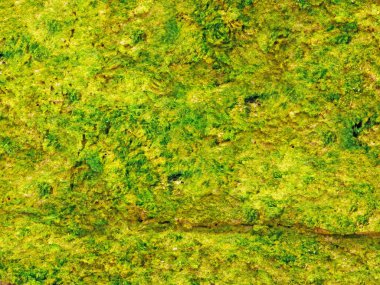 Green Stones dokusu, soyut arkaplan