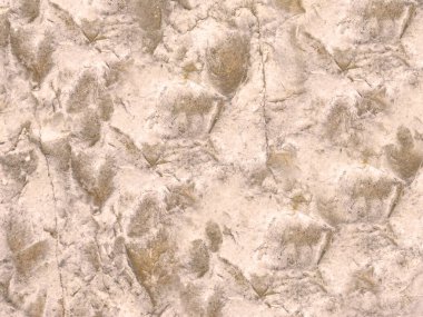 Arka plan için Bahçedeki Taş Doku    